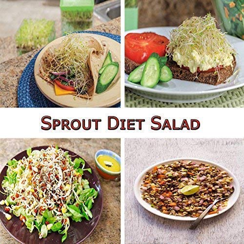 Sprout Maker  4 Layer