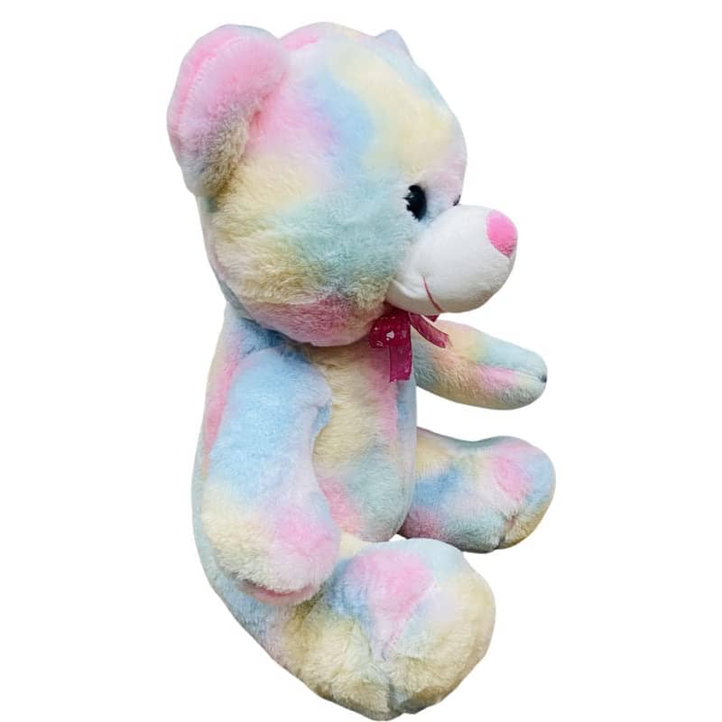 DDB26  Rainbow Teddy bear (55 cm)