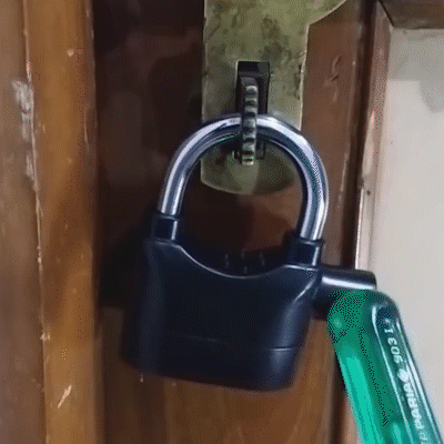 security alarm lock